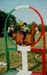 Frisbisti a Cavallo